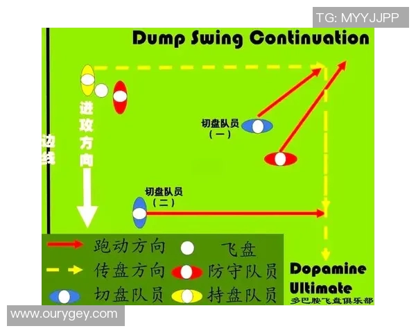 武汉飞盘队战术表现深度分析与数据解读探讨