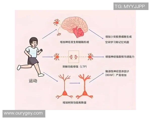运动科学视角下的身体功能优化与运动表现提升策略研究