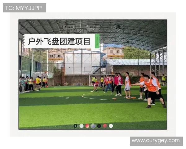 飞盘竞技的魅力：深入了解深圳飞盘队的团队协作与精神风貌