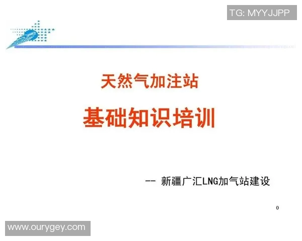 专业分析LNG市场的控制策略与应对方法探讨